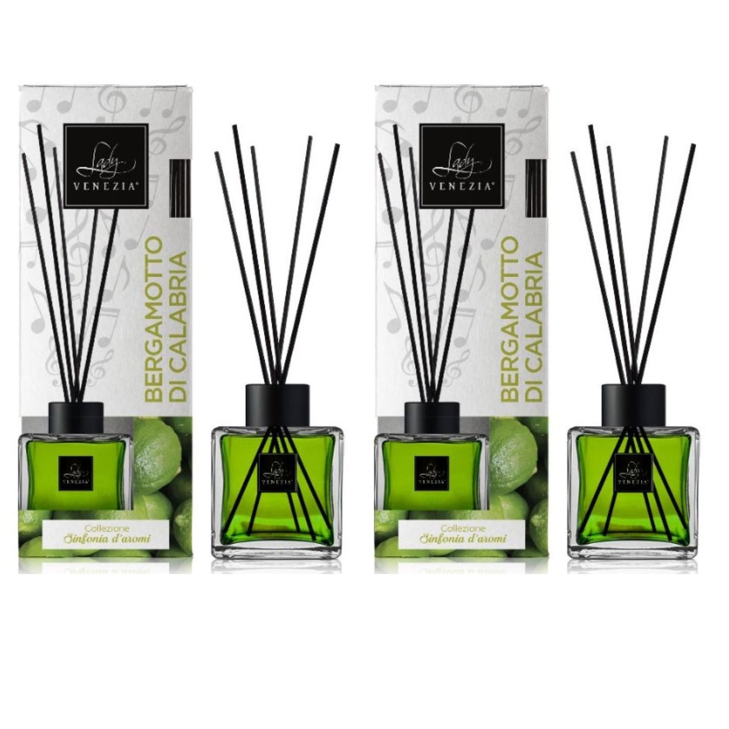 Diffusore Ambiente "Cubo" con Bastoncini - fragranze assortite - 100 ml x 2